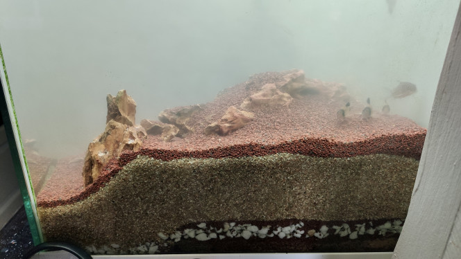 Photographie du post de TortueGeniale91 