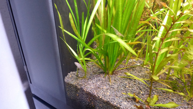 Photographie du post de Lorenz83 