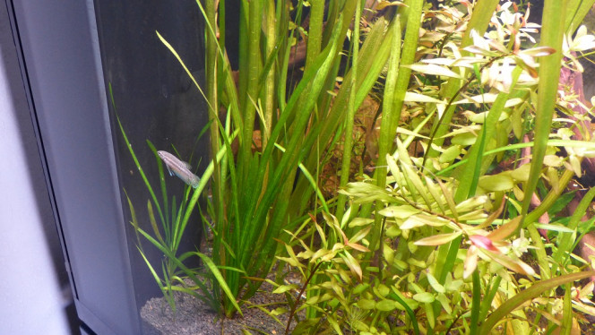 Photographie du post de Lorenz83 