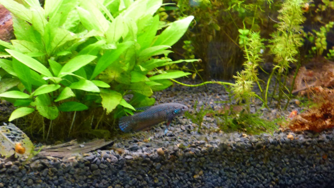 Photographie du post de Lorenz83 