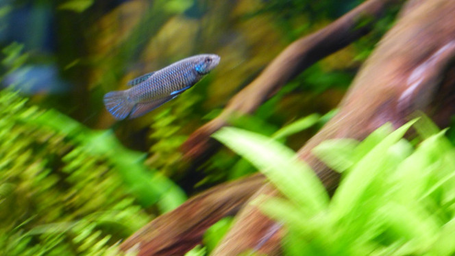 Photographie du post de Lorenz83 