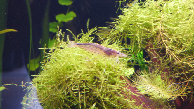 Photographie du post de Lorenz83 