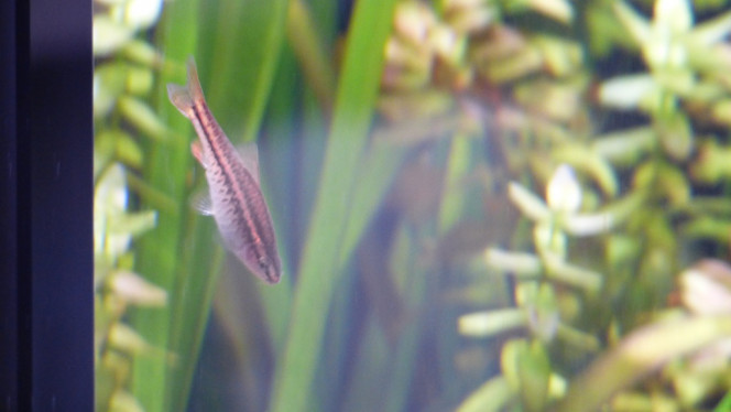 Photographie du post de Lorenz83 