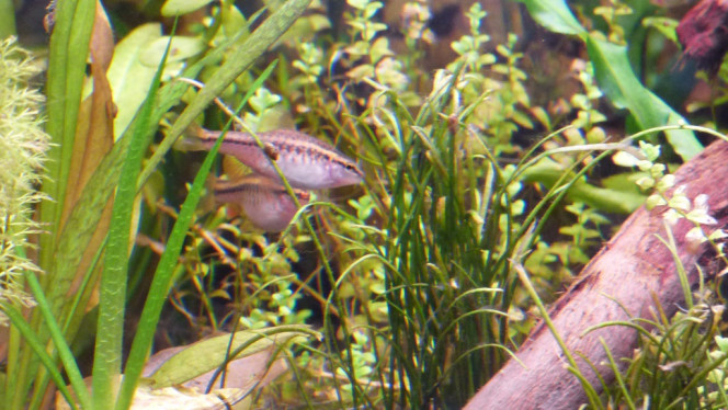 Photographie du post de Lorenz83 