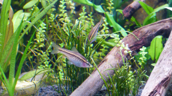 Photographie du post de Lorenz83 