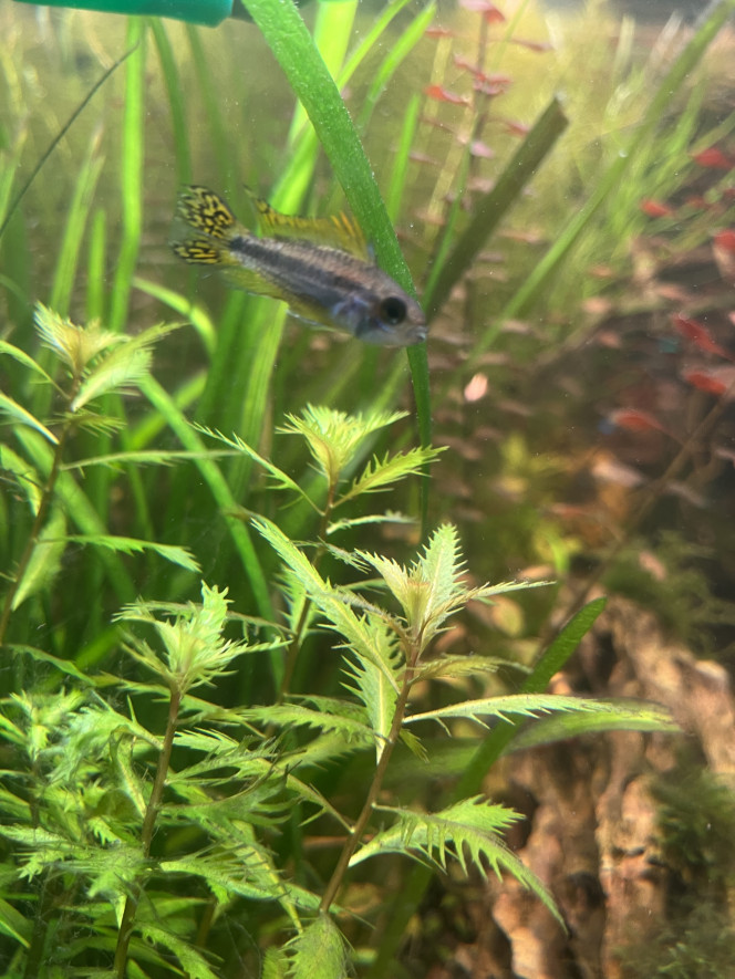 Photographie du post de Omez78 