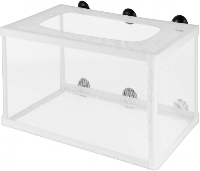 Photographie du post de Noam31 