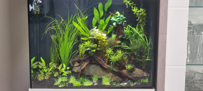 Aqua 130l 