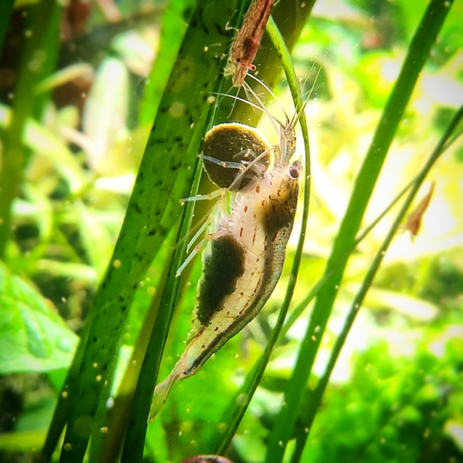 Photographie du post de MarleneMLX 