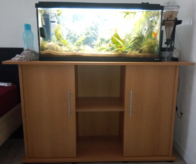 Nouveau meuble Un meuble pour aquarium Juwel Rio 240.
Beaucoup plus solide que l'ancien, plus chère aussi mais pas tant que ça au vu de la qualité.