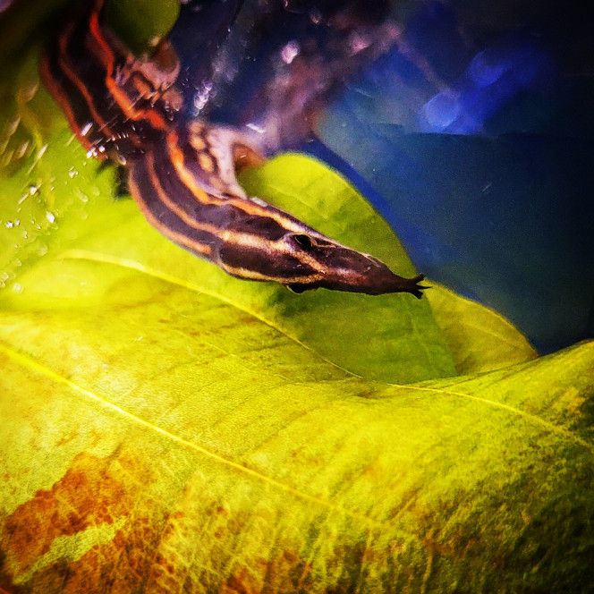 Photographie du post de Lulu82 