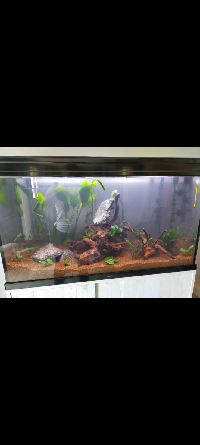 Photographie du post de marie15073 