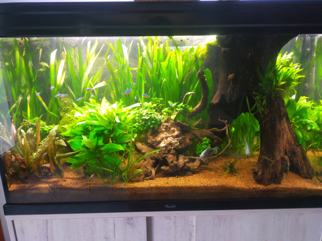 Photographie du post de marie15073 