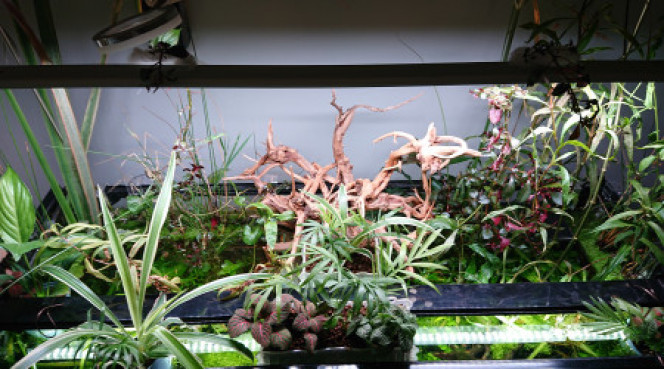 Photographie du post de Anhtu 