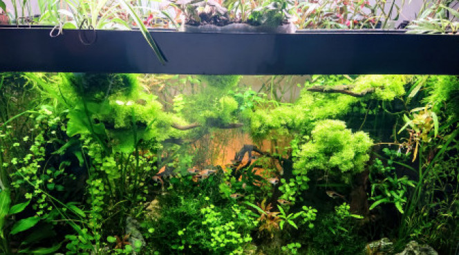 Photographie du post de Anhtu 