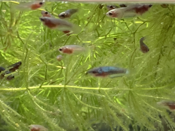 Photographie du post de Nalia 