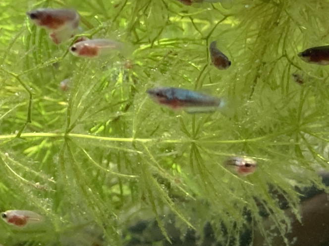 Photographie du post de Nalia 