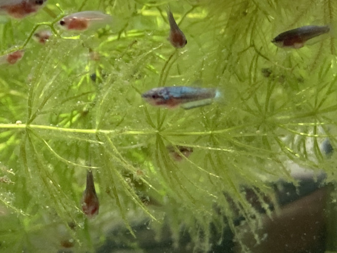 Photographie du post de Nalia 