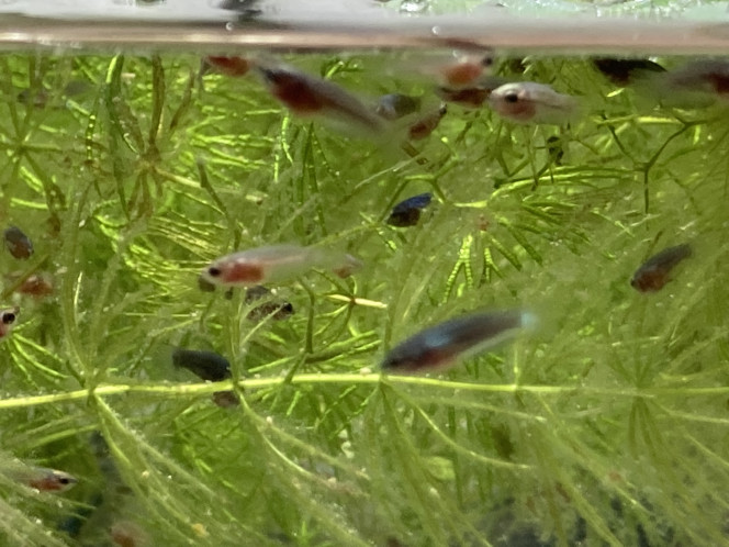 Photographie du post de Nalia 