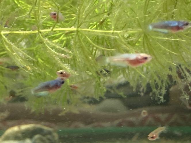 Photographie du post de Nalia 