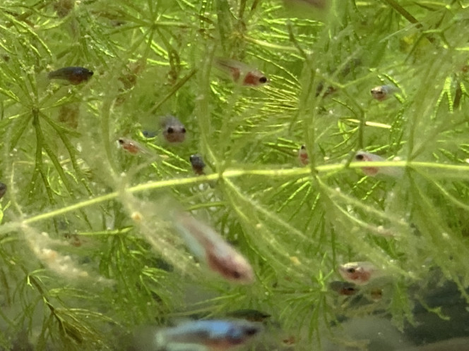 Photographie du post de Nalia 