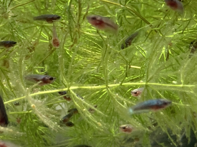 Photographie du post de Nalia 