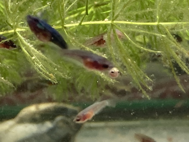 Photographie du post de Nalia 