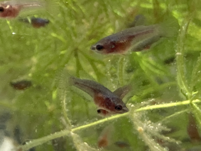 Photographie du post de Nalia 