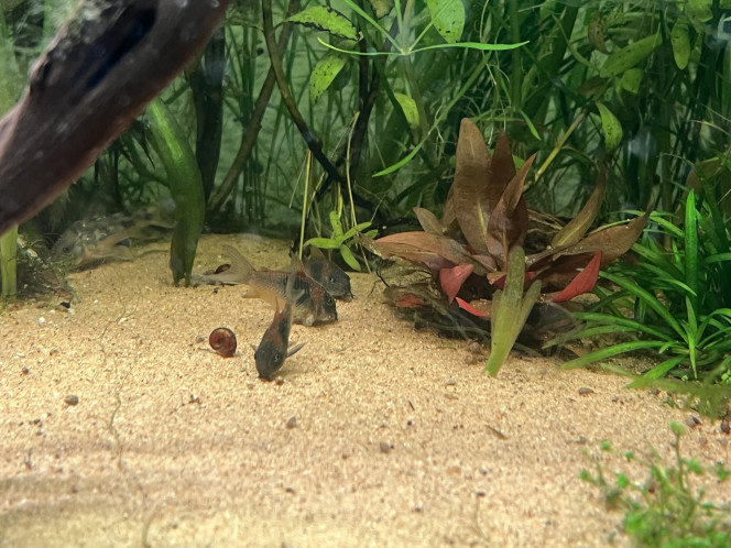 Photographie du post de Omez78 