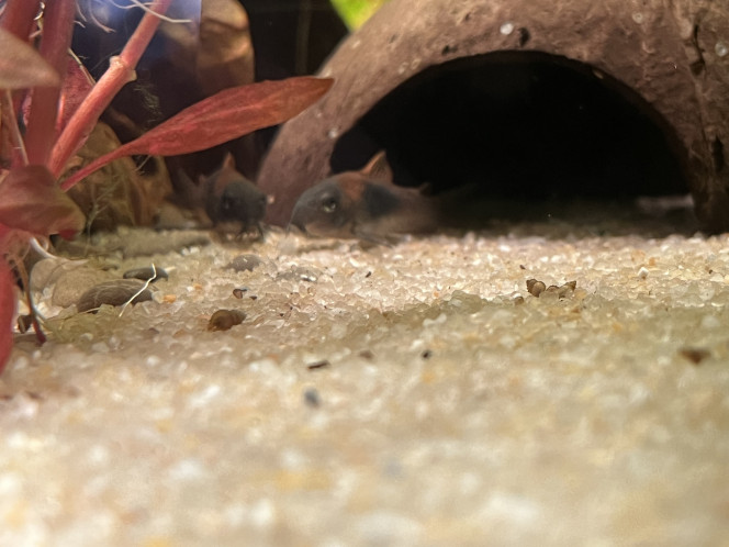 Photographie du post de Omez78 