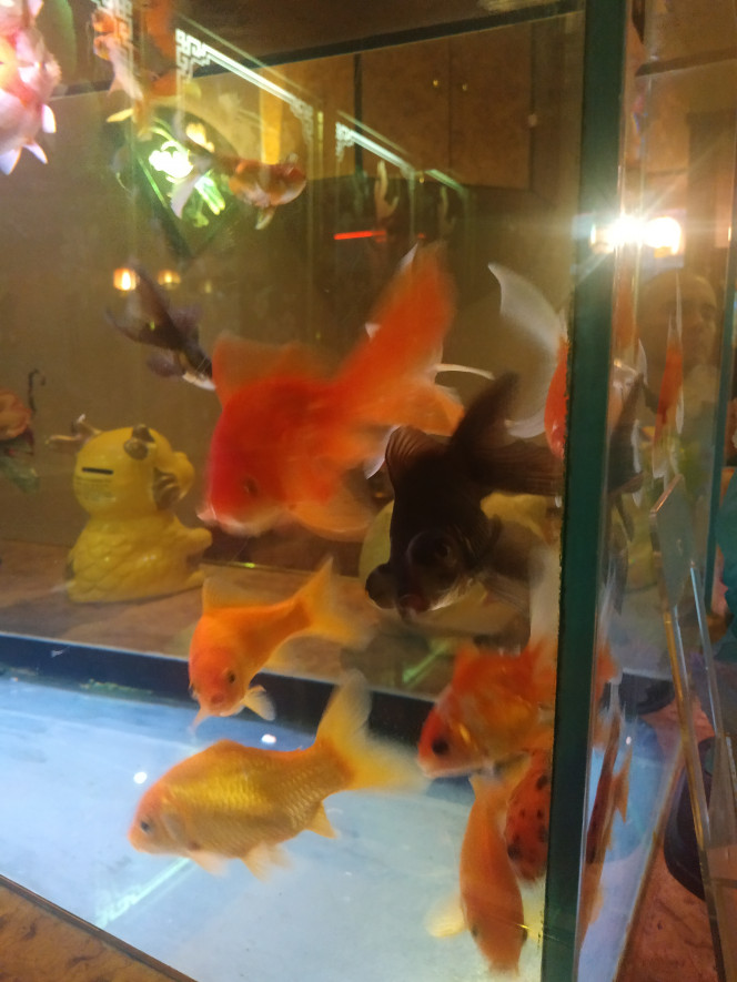 Photographie du post de Molac 