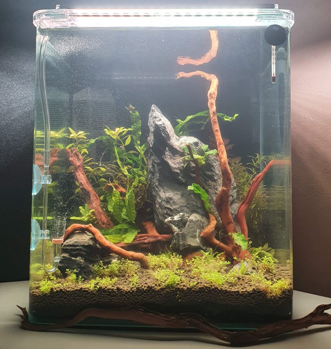 Aquarium 30L Dennerle 
