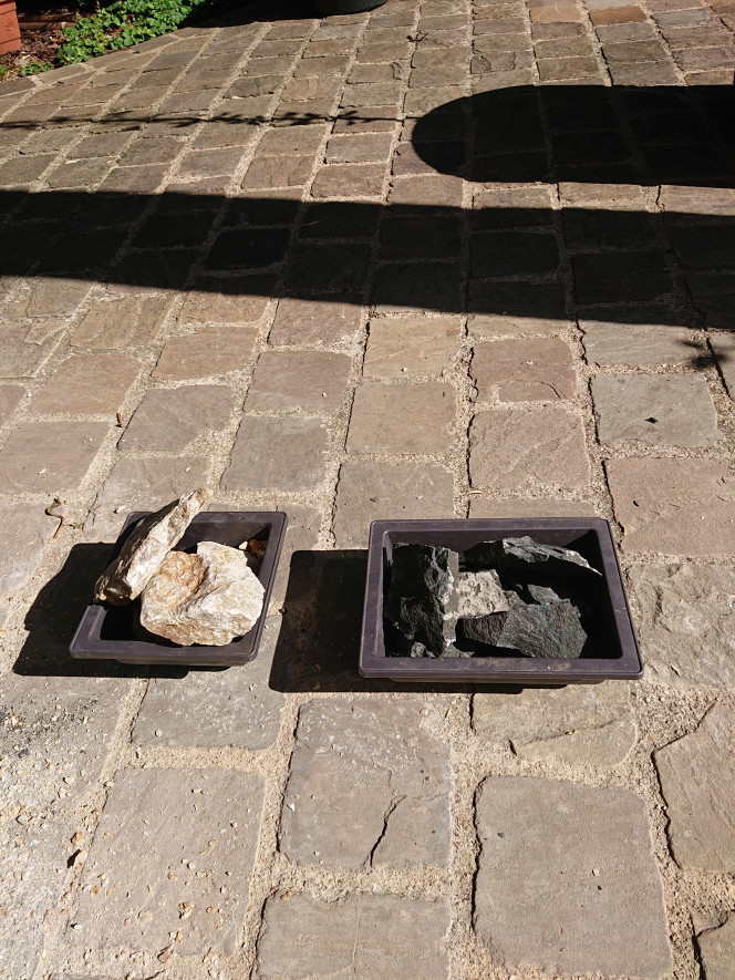 Photographie du post de Anhtu 