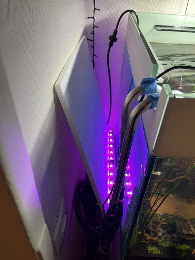 Photographie du post de Omez78 