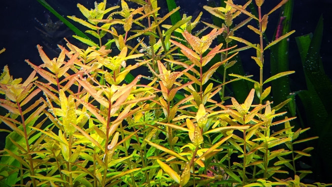 Photographie du post de bryce 