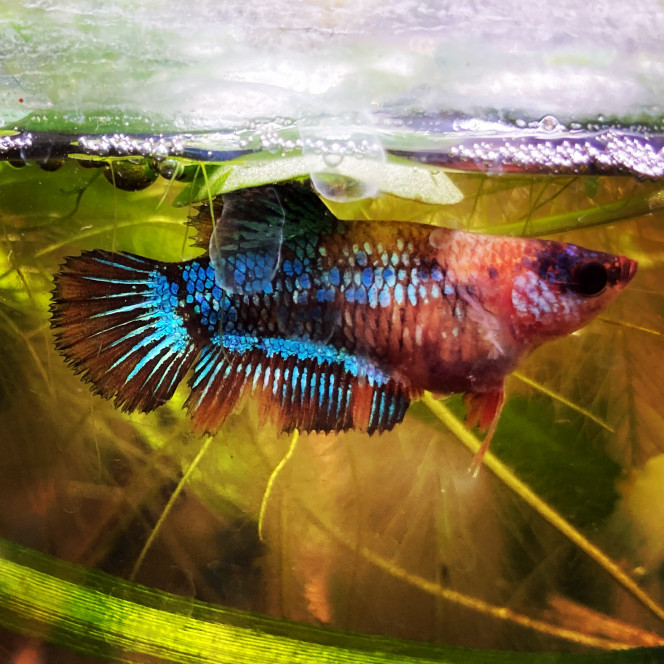 Photographie du post de Nalia 