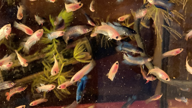 Photographie du post de Nalia 