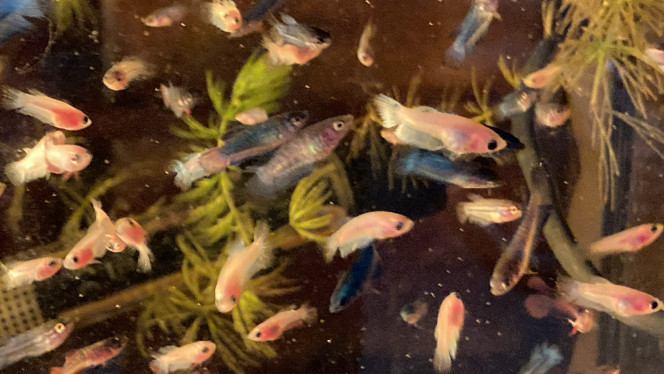 Photographie du post de Nalia 