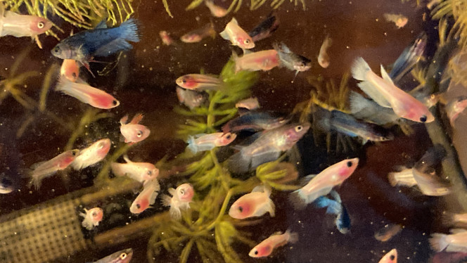 Photographie du post de Nalia 