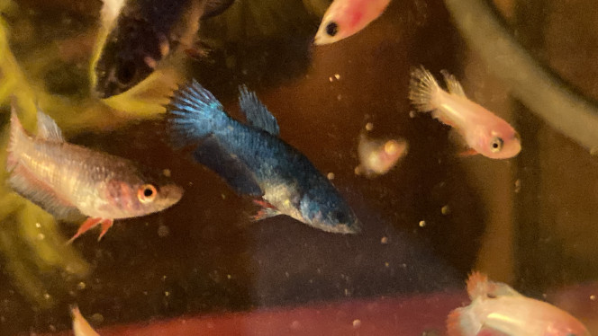 Photographie du post de Nalia 