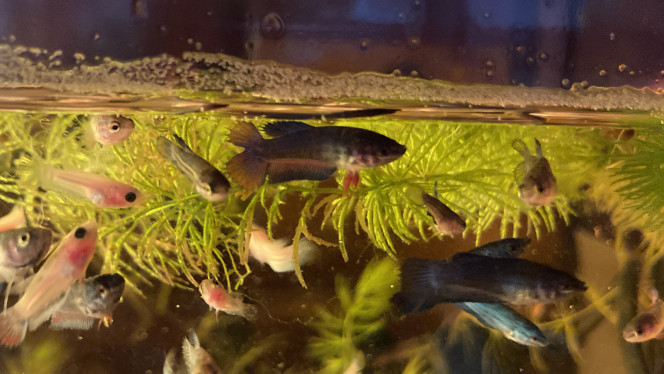 Photographie du post de Nalia 