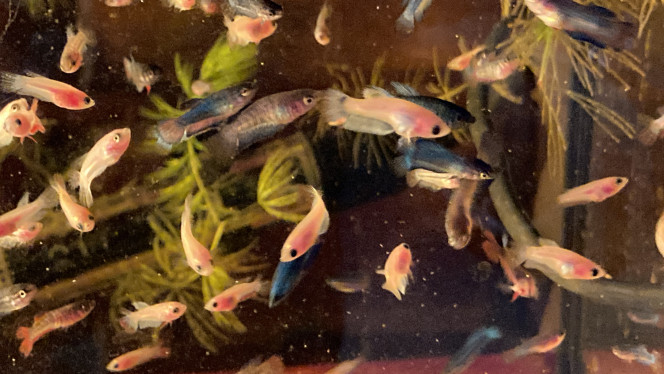 Photographie du post de Nalia 