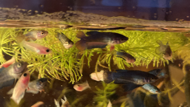 Photographie du post de Nalia 