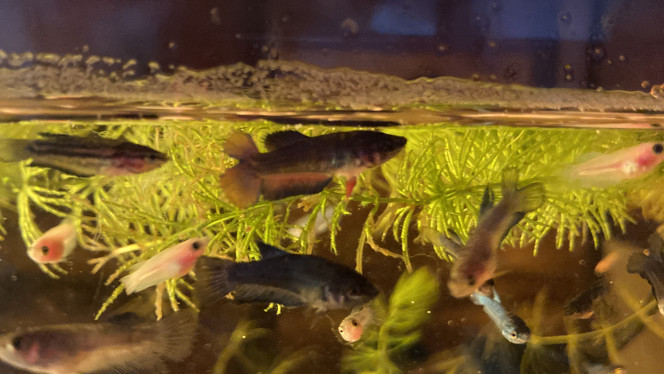 Photographie du post de Nalia 