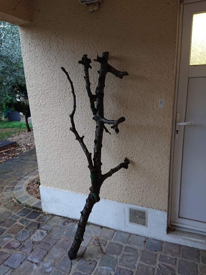 Photographie du post de Anhtu 