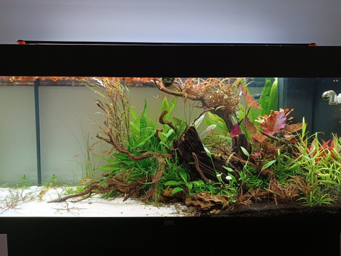 Photographie du post de Equi 