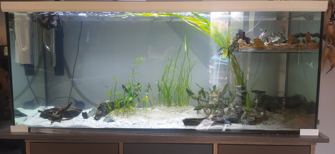 Photographie du post de SevyHBW 