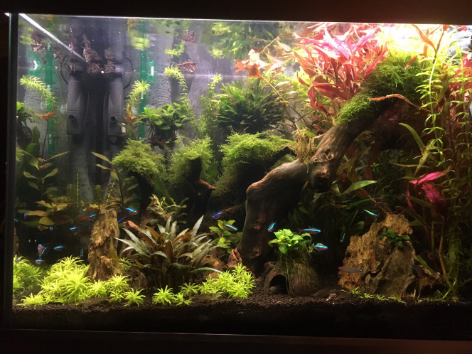 MAR01 