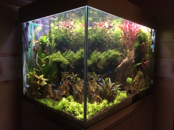 MAR03 