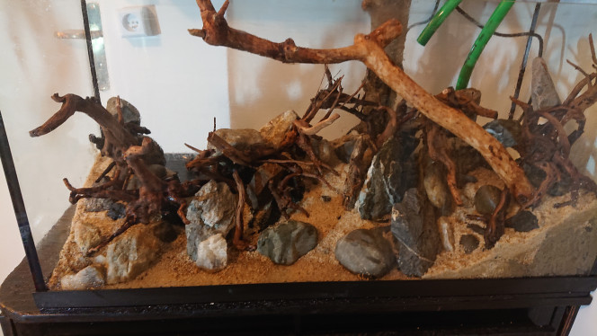 Photographie du post de Anhtu 